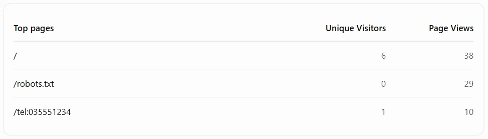 טבלת הדפים הנצפים באתר, עם הדף הראשי ו-robots.txt