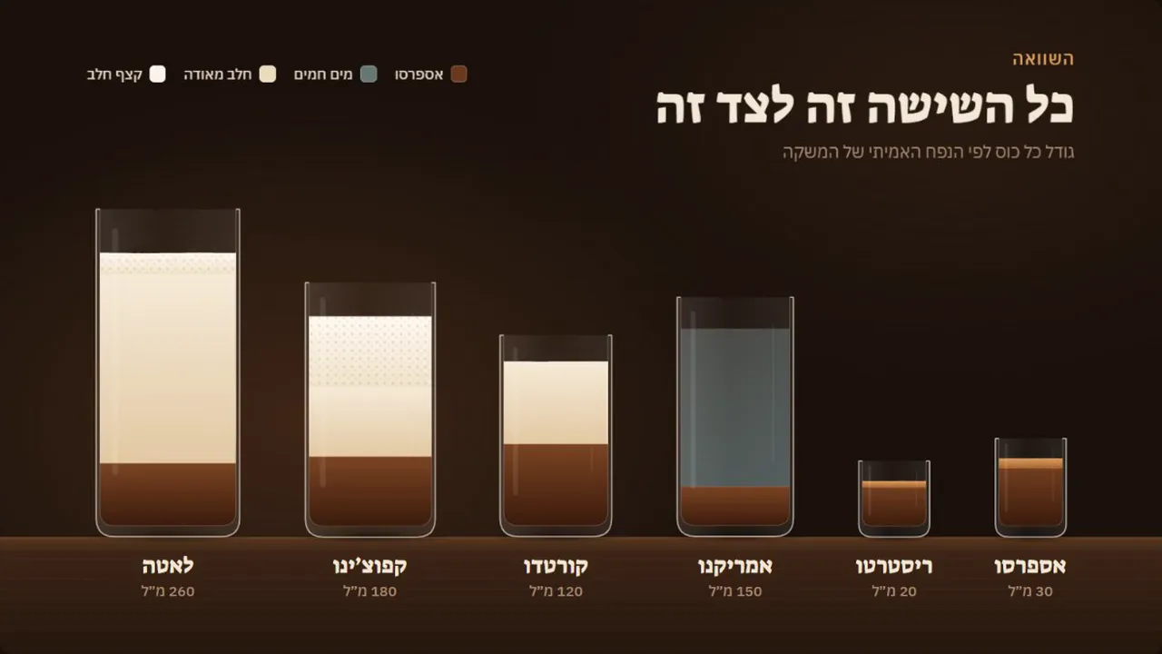הקלטת מסך של סרטון ההסבר ש-Claude בנה בקוד: כוס שקופה בחתך לכל אחד מששת המשקאות, אספרסו, ריסטרטו, אמריקנו, קורטדו, קפוצינו ולאטה, השכבות נשפכות פנימה לפי היחס והנפח נספר. בסוף כל השש עומדות זו לצד זו