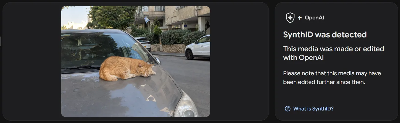 תוצאה ב-SynthID Detector: התמונה של החתול מ-ChatGPT ולצידה SynthID was detected, עם הלוגו של הגלאי ו-+ OpenAI מעל
