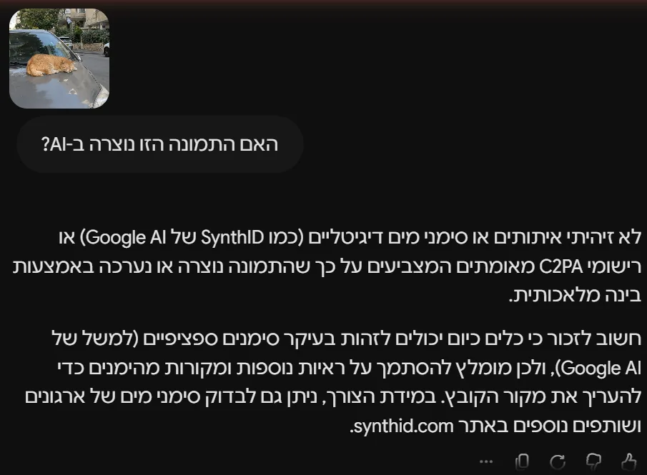 תשובה באפליקציית Gemini לשאלה האם התמונה הזו נוצרה ב-AI: לא זוהו סימני מים של SynthID של Google או רישומי C2PA, עם הפניה לבדיקה באתר synthid.com