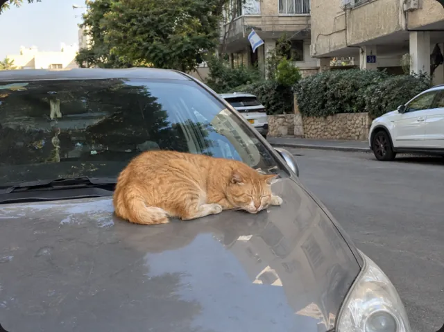 צילום מסך של התמונה מ-ChatGPT