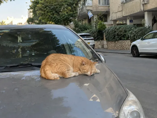 התמונה מ-ChatGPT אחרי דחיסה חזקה